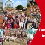 Top 10 Famous Fairs In Gujarat